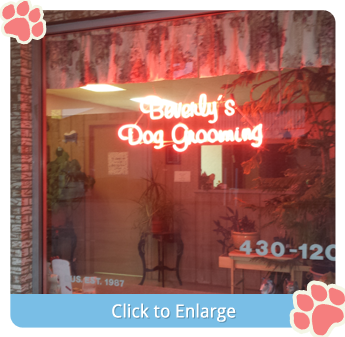 Dog Salon Location